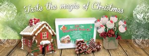 Get ready for Christmas with our Gingerbread houses, Gingerbread House Kits, from That Gingerbread Place