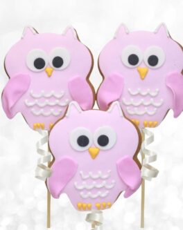 Owl Cookie Pops