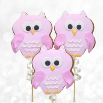 Pink Owl  Cookie pops