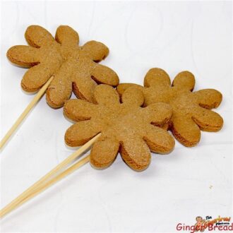 DIY Flower Gingerbread Cookie Kits