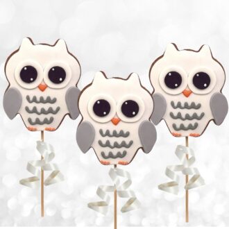 Wide-eyed Owl Cookie Pops